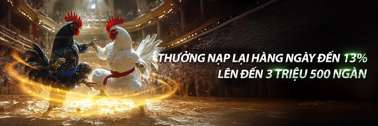 Đá gà kịch tính tại vin777vin trang chủ chính thức